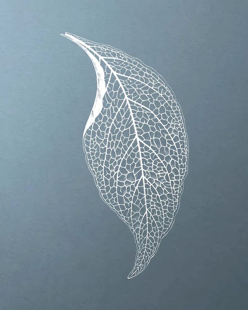 Delicate Leaf — Minimalist Print. poster detail