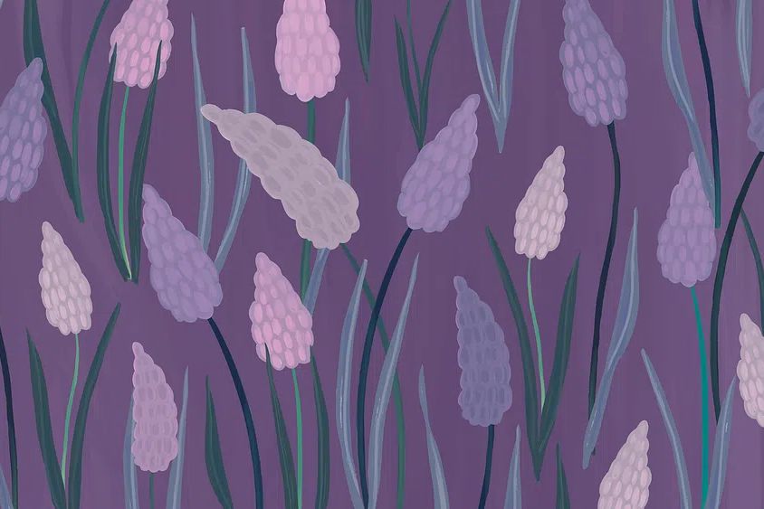 Lavender Field — Botanical Print. poster — botanical art