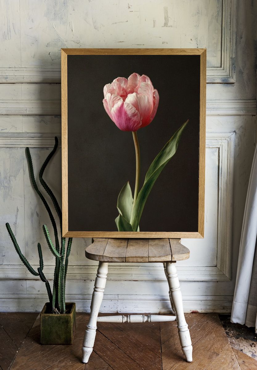 Pink Tulip — Botanical Print. — room view 1