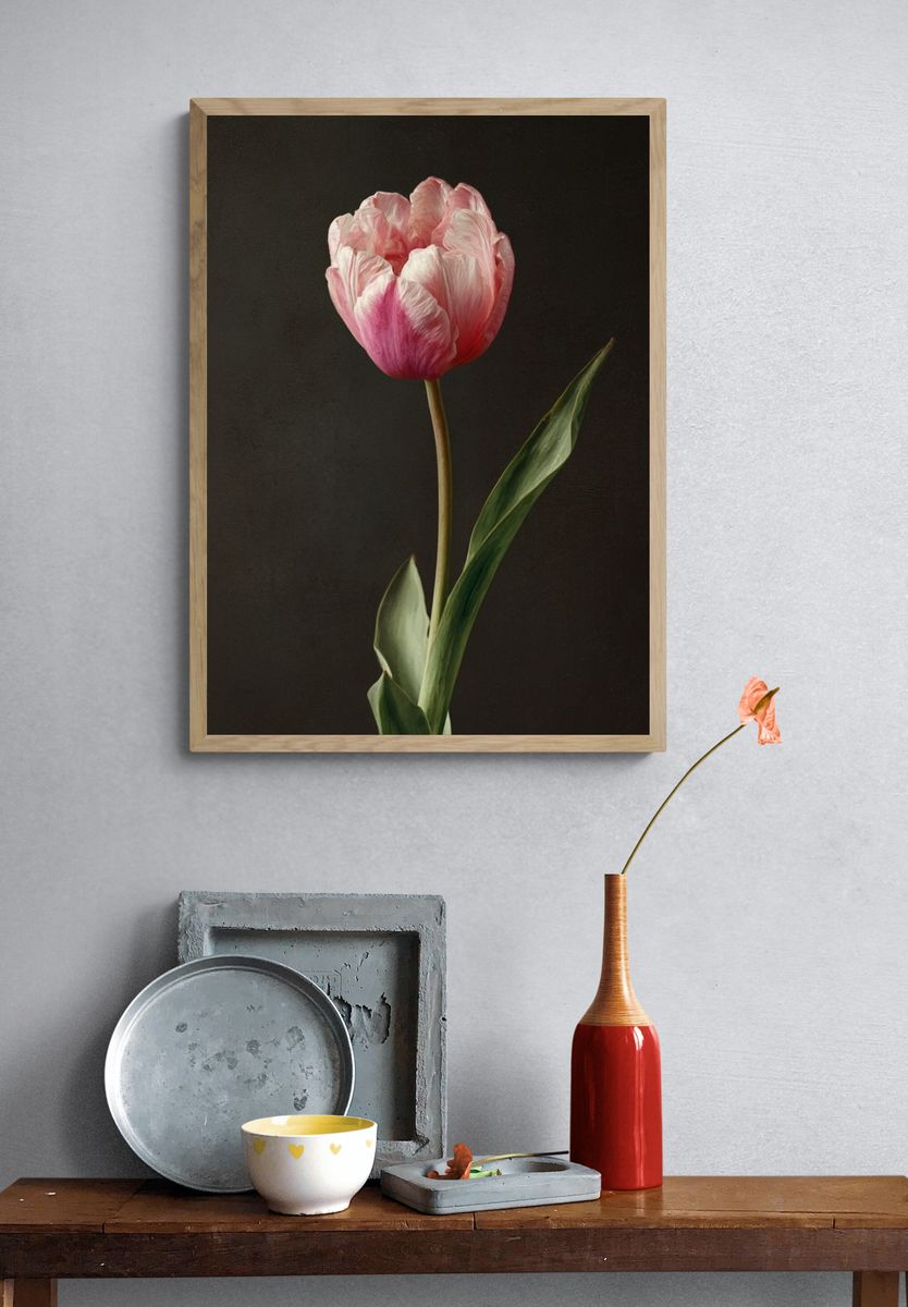 Pink Tulip — Botanical Print. — room view 3