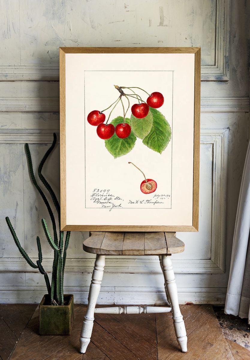 Cherry Blossom Botanical Print. — room view 1