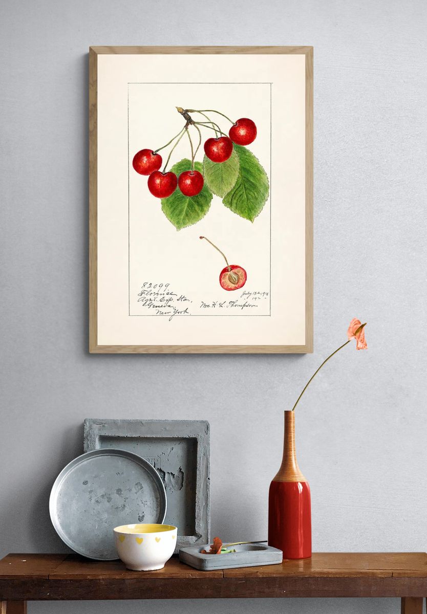 Cherry Blossom Botanical Print. — room view 3