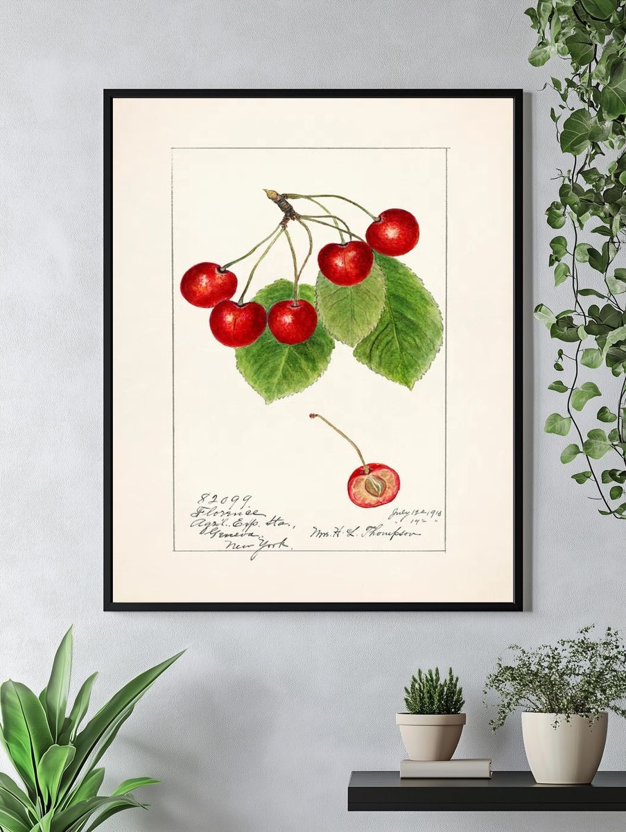 Cherry Blossom Botanical Print. — room view 4