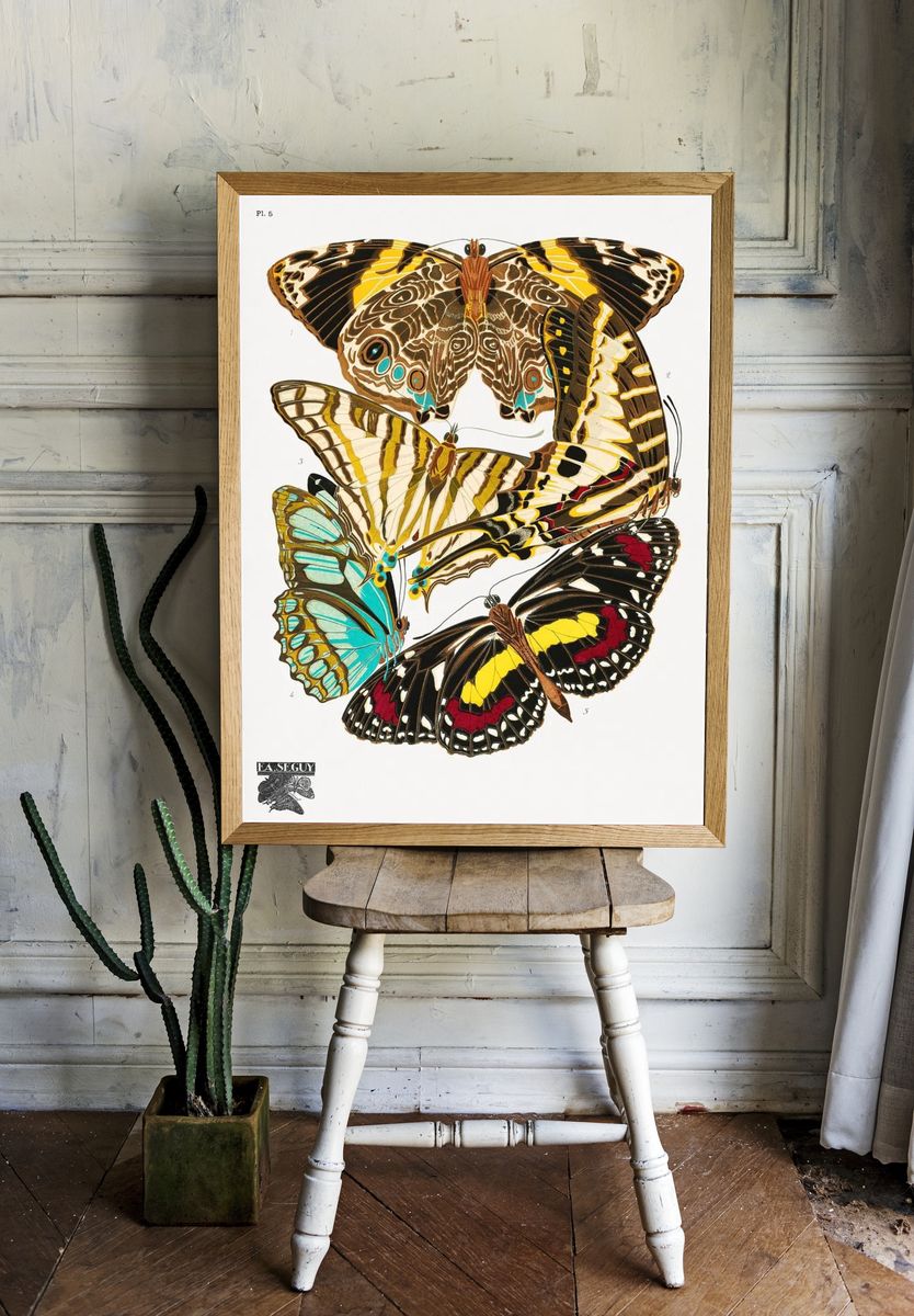 Butterfly Study Illustration Poster. — room view 1