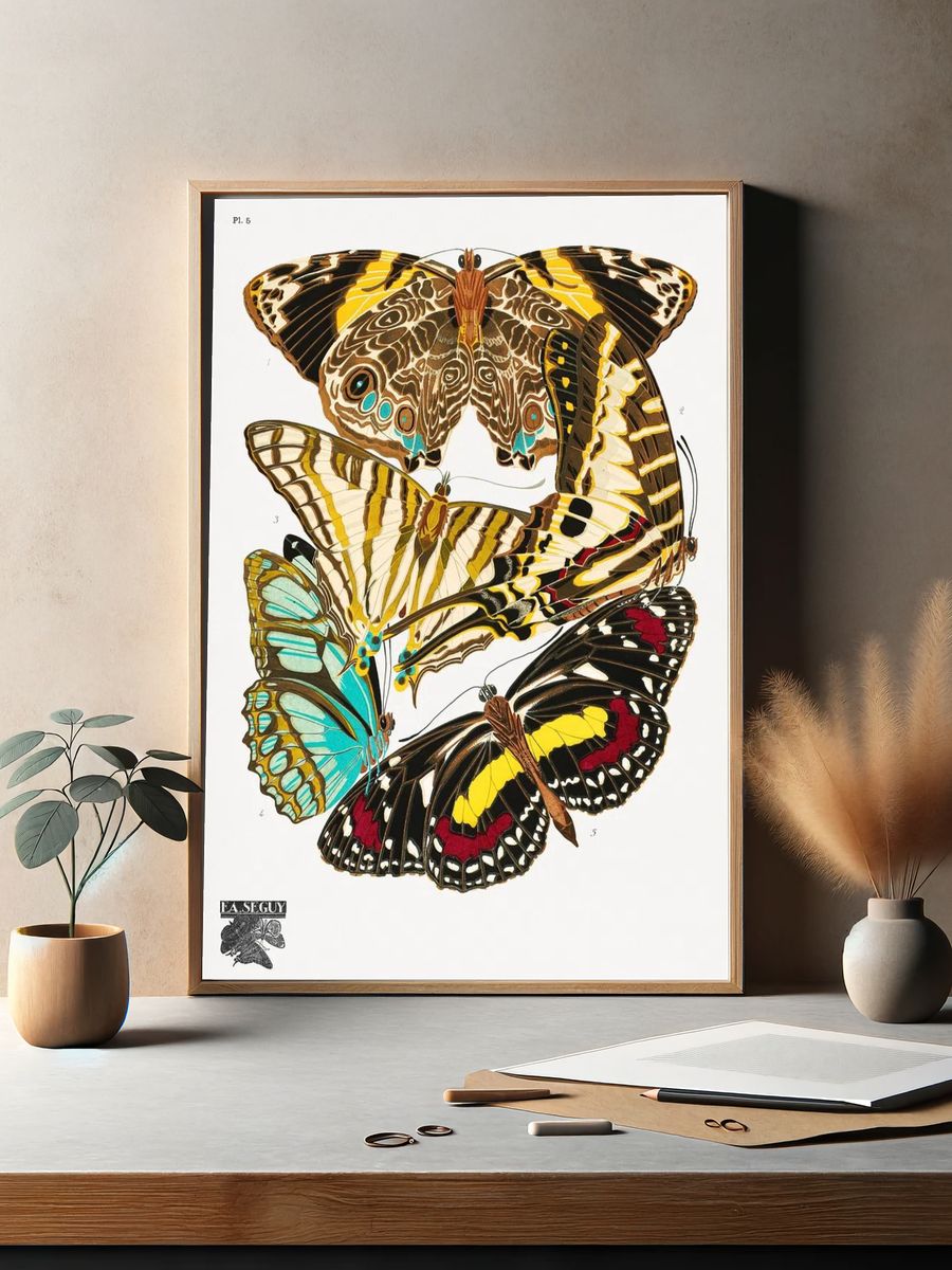 Butterfly Study Illustration Poster. — room view 2