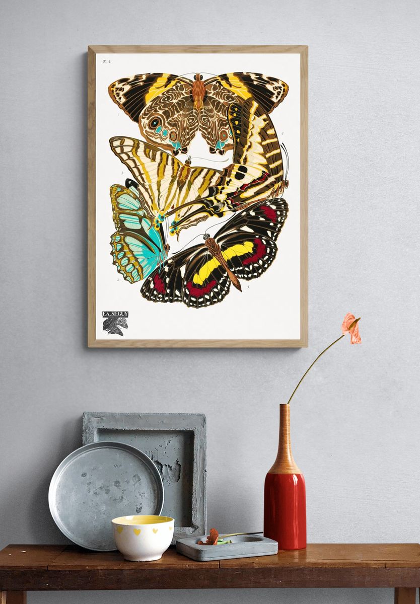 Butterfly Study Illustration Poster. — room view 3