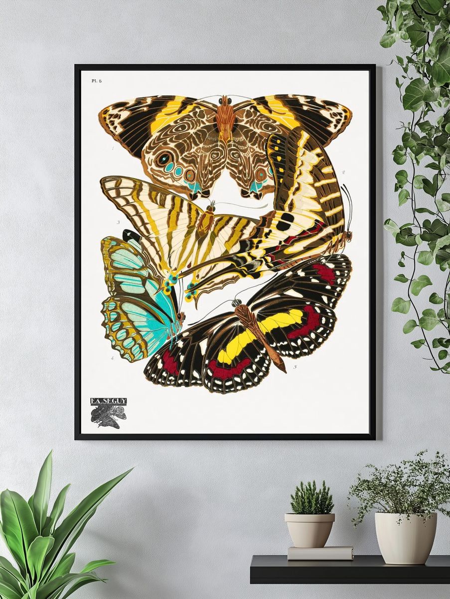 Butterfly Study Illustration Poster. — room view 4