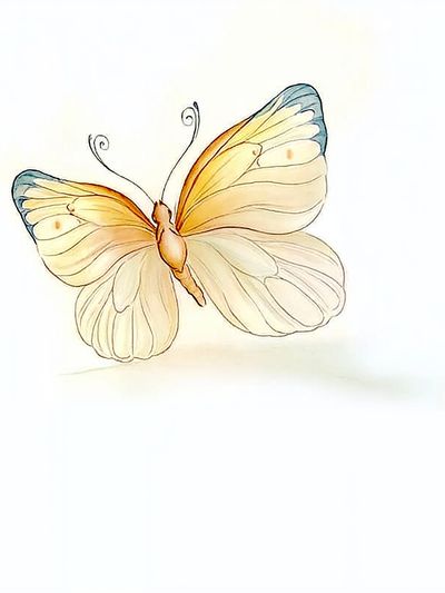 Butterfly Watercolor Print.