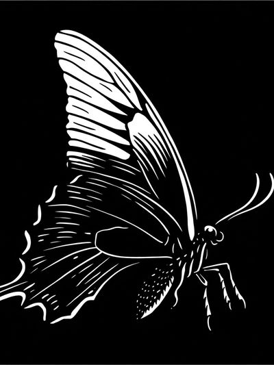 Monochrome Butterfly Line Art Poster. poster