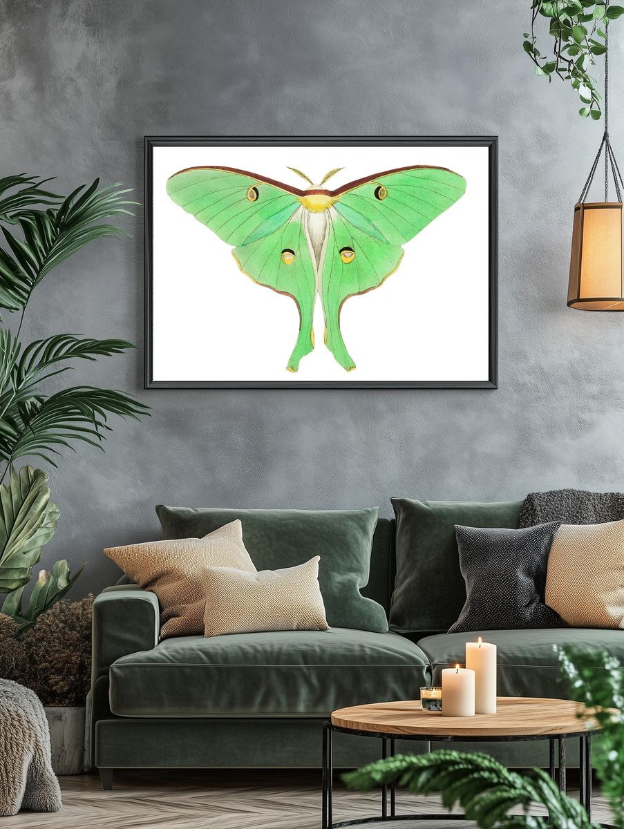 Luna Large pea-green phalaena illustration. — room view 4