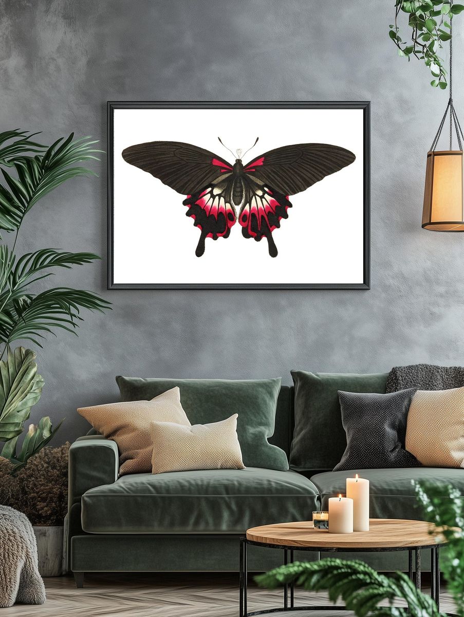 Caudated brown butterfly Great dusky. — room view 4