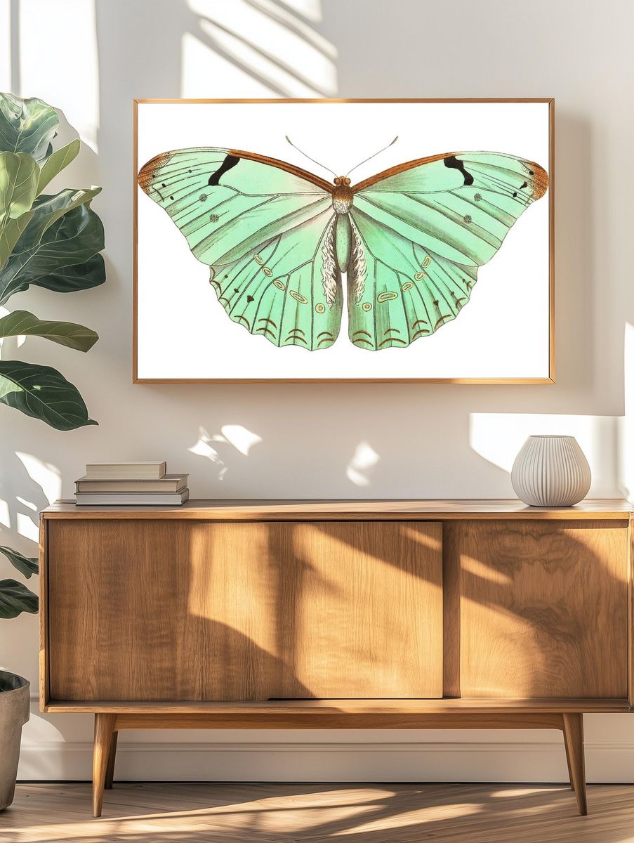 Papilio laertes Laertes butterfly illustration. — room view 3