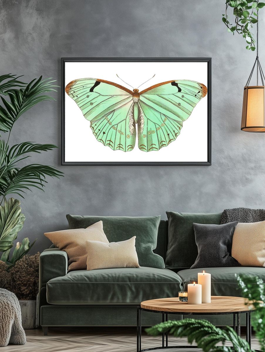 Papilio laertes Laertes butterfly illustration. — room view 4