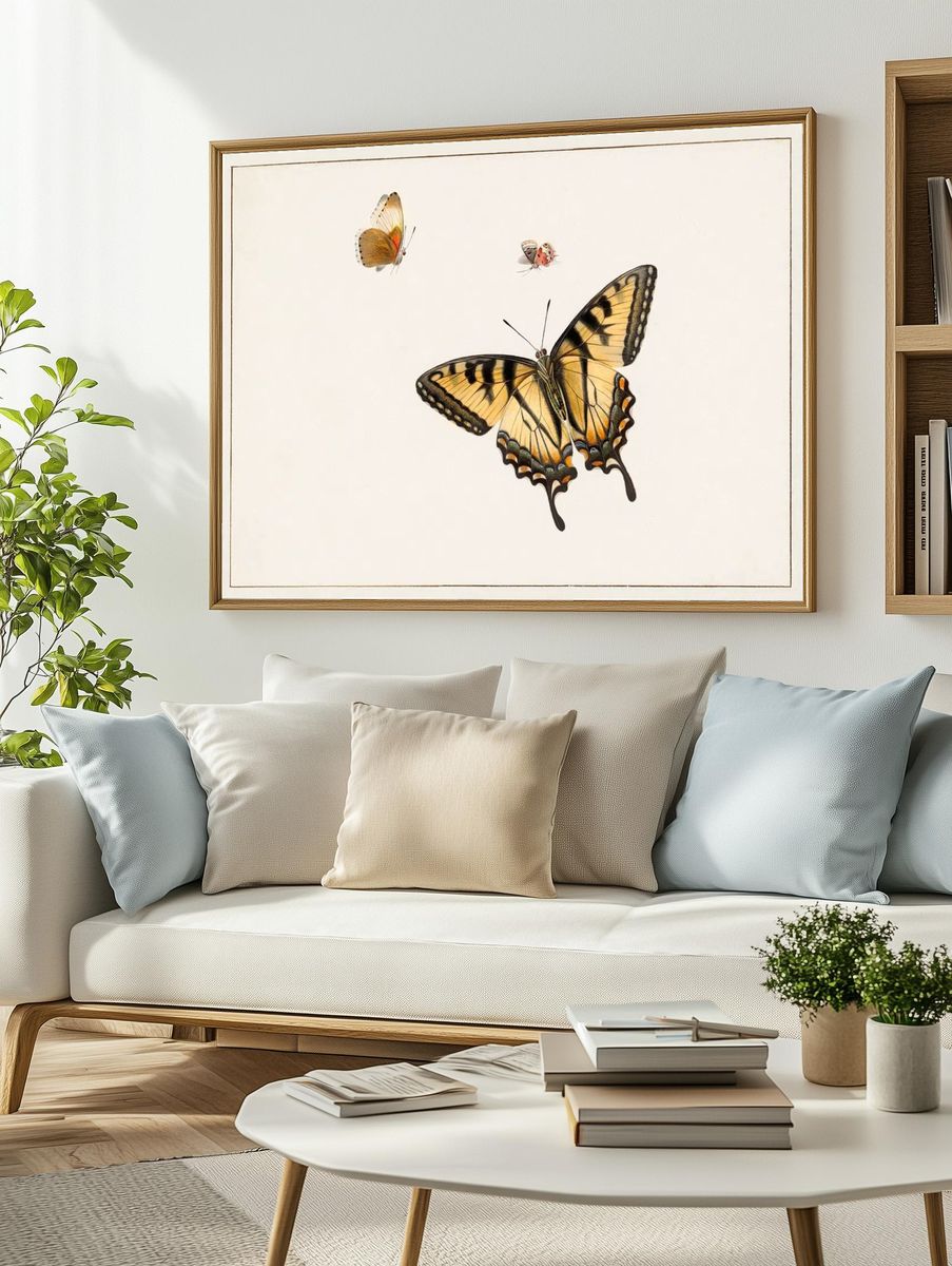 Three Butterflies Herman Henstenburgh (c.1683-c.1726). — room view 2