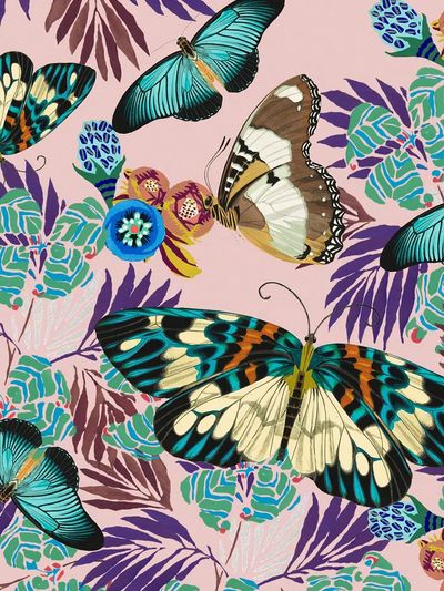 Exotic botanical butterfly background, vintage.