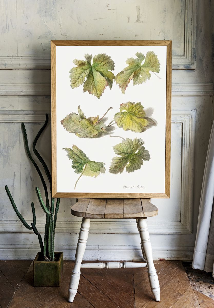 Botanical Leaves — Vintage Print. — room view 1
