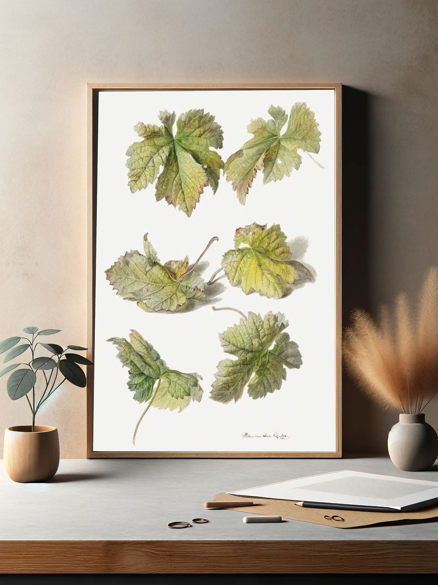 Botanical Leaves — Vintage Print. — room view 2