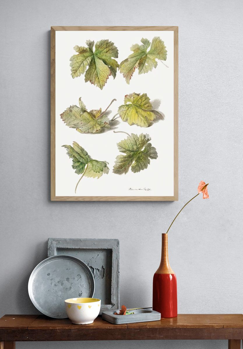 Botanical Leaves — Vintage Print. — room view 3