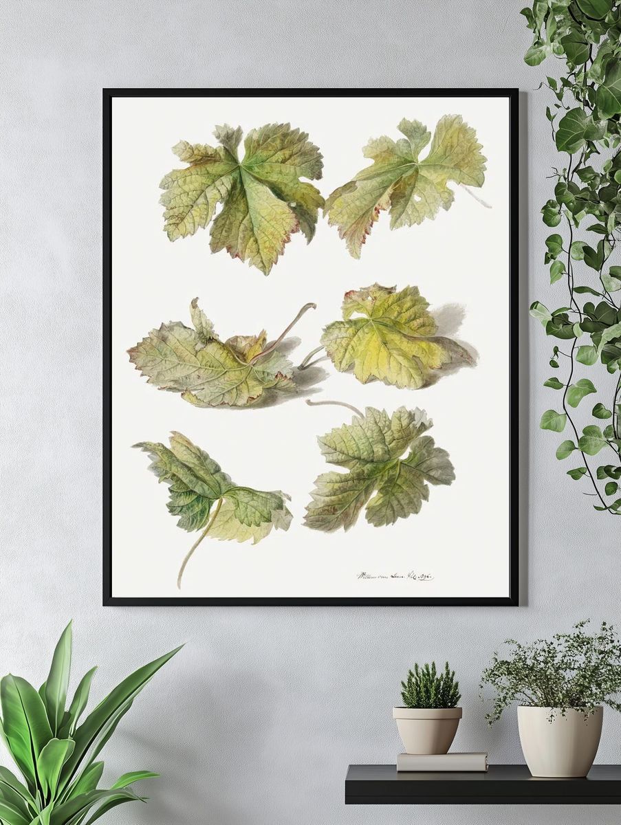 Botanical Leaves — Vintage Print. — room view 4