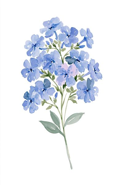 Blue Wildflower Watercolor Print. poster