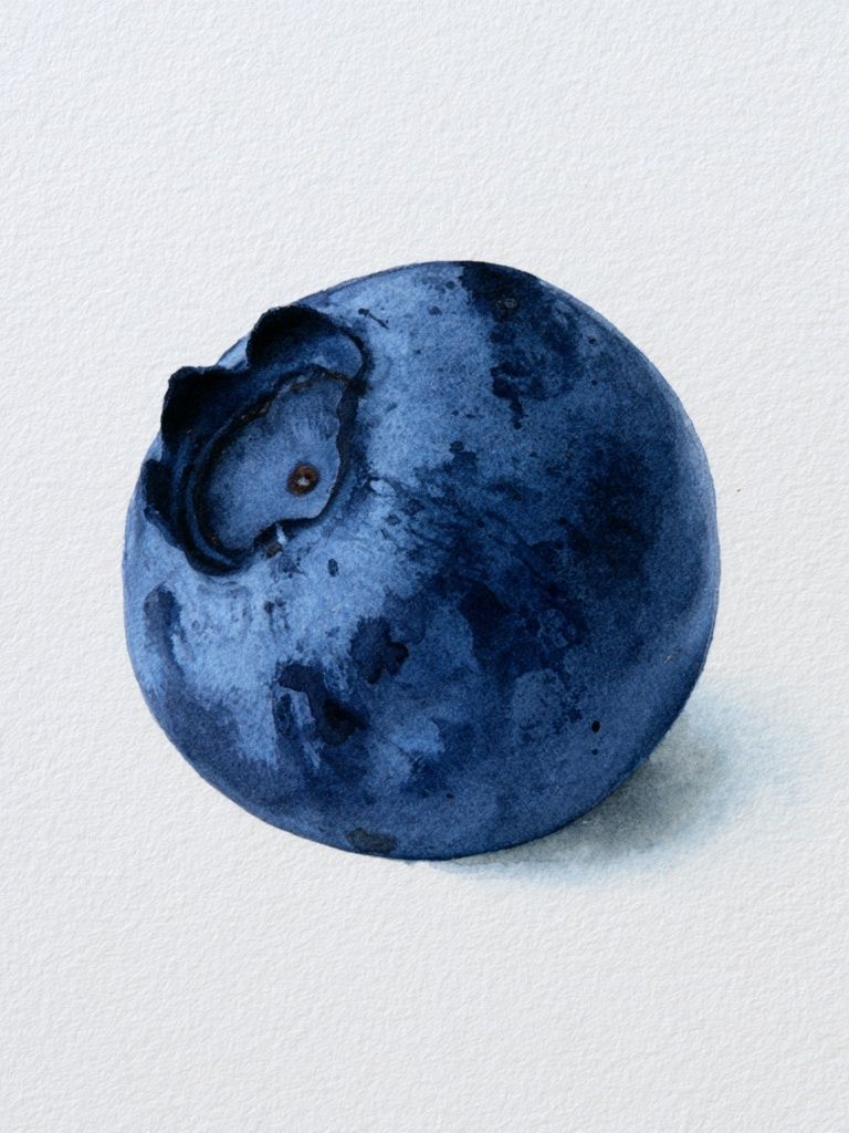 Blueberry Watercolor Print. poster — botanical art