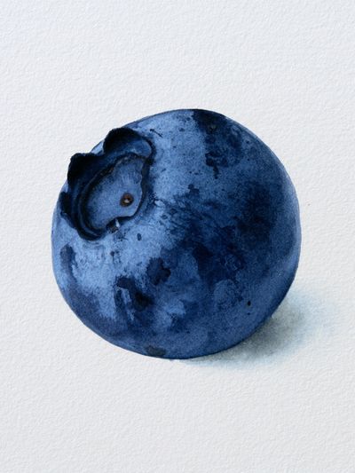 Blueberry Watercolor Print.