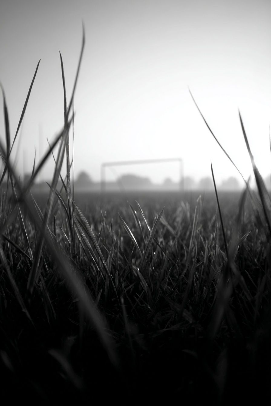 Soccer Field at Dawn — Black-White Print. poster — photography art