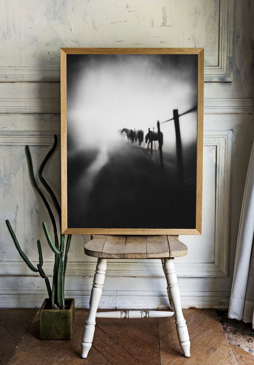 Horses in Fog — Black and White Photography Print. — room view 1