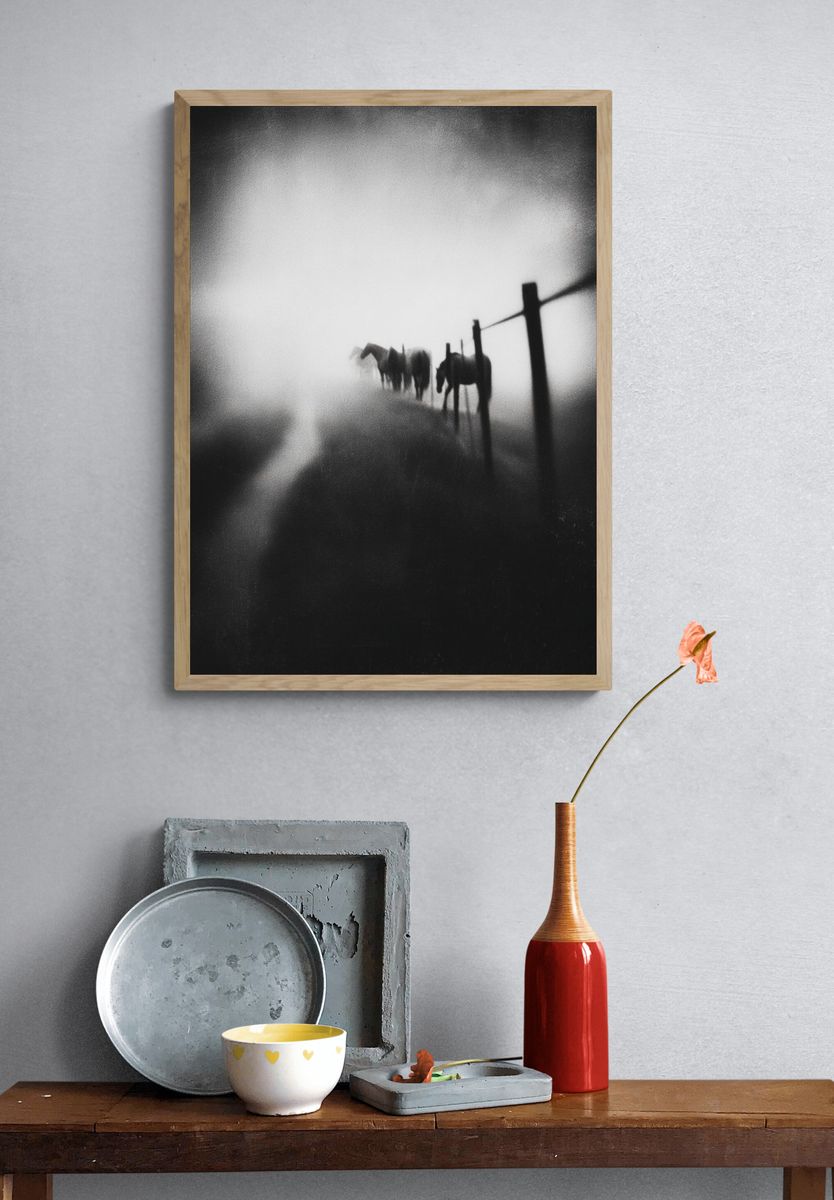 Horses in Fog — Black and White Photography Print. — room view 3