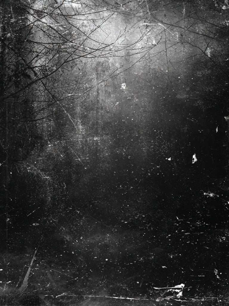 Misty Forest — Black-White Print. poster — photography art