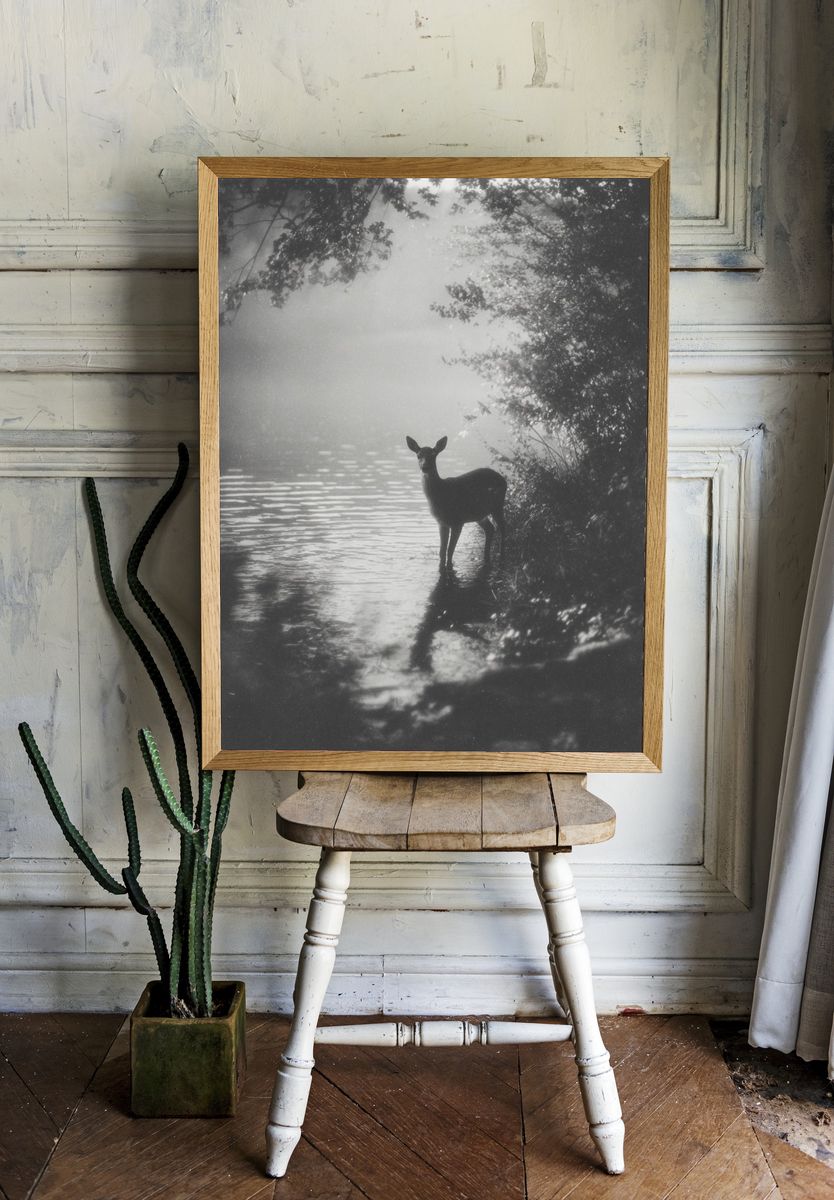 Deer by the Water — Black and White Photography Print. — room view 1