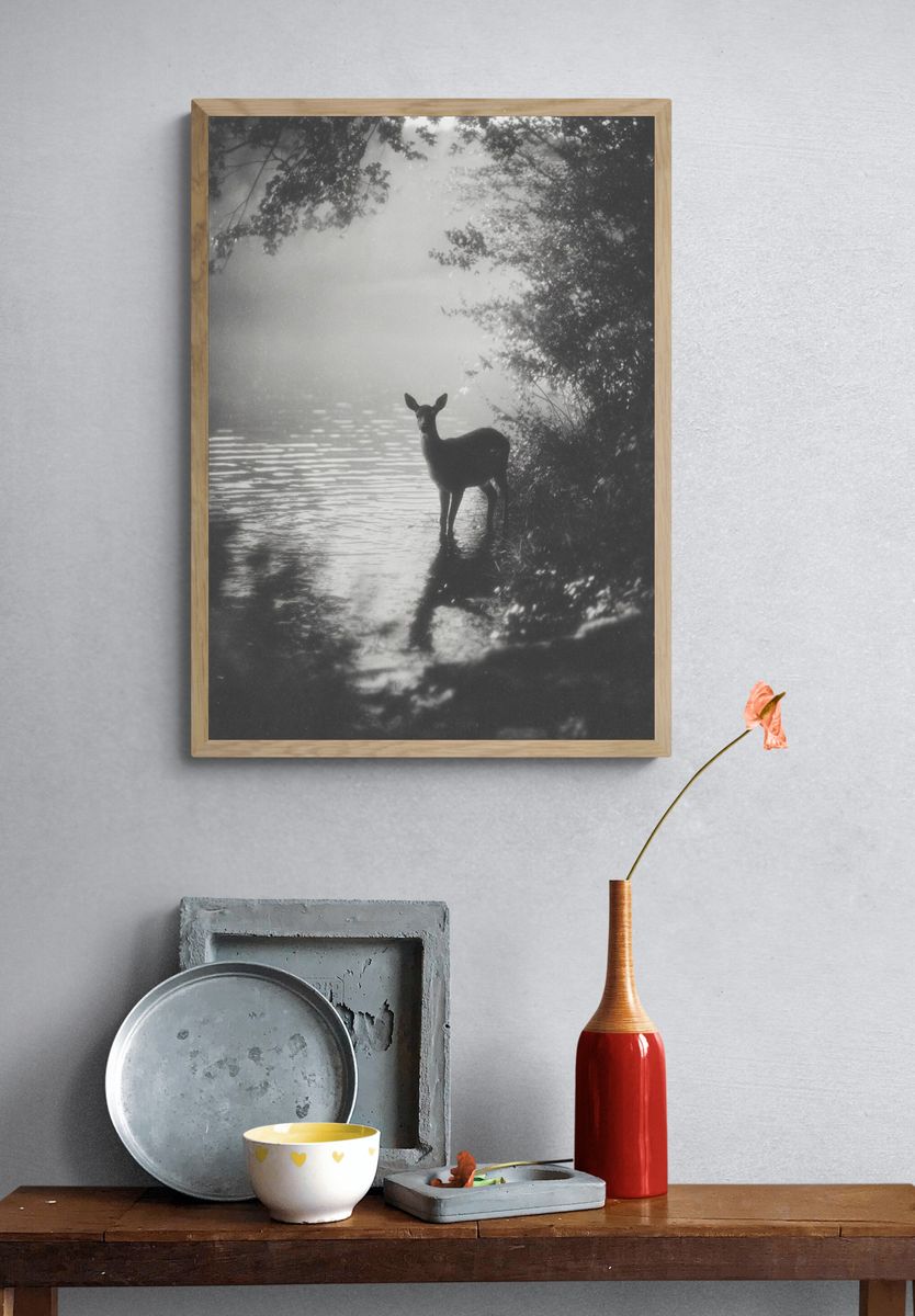 Deer by the Water — Black and White Photography Print. — room view 3