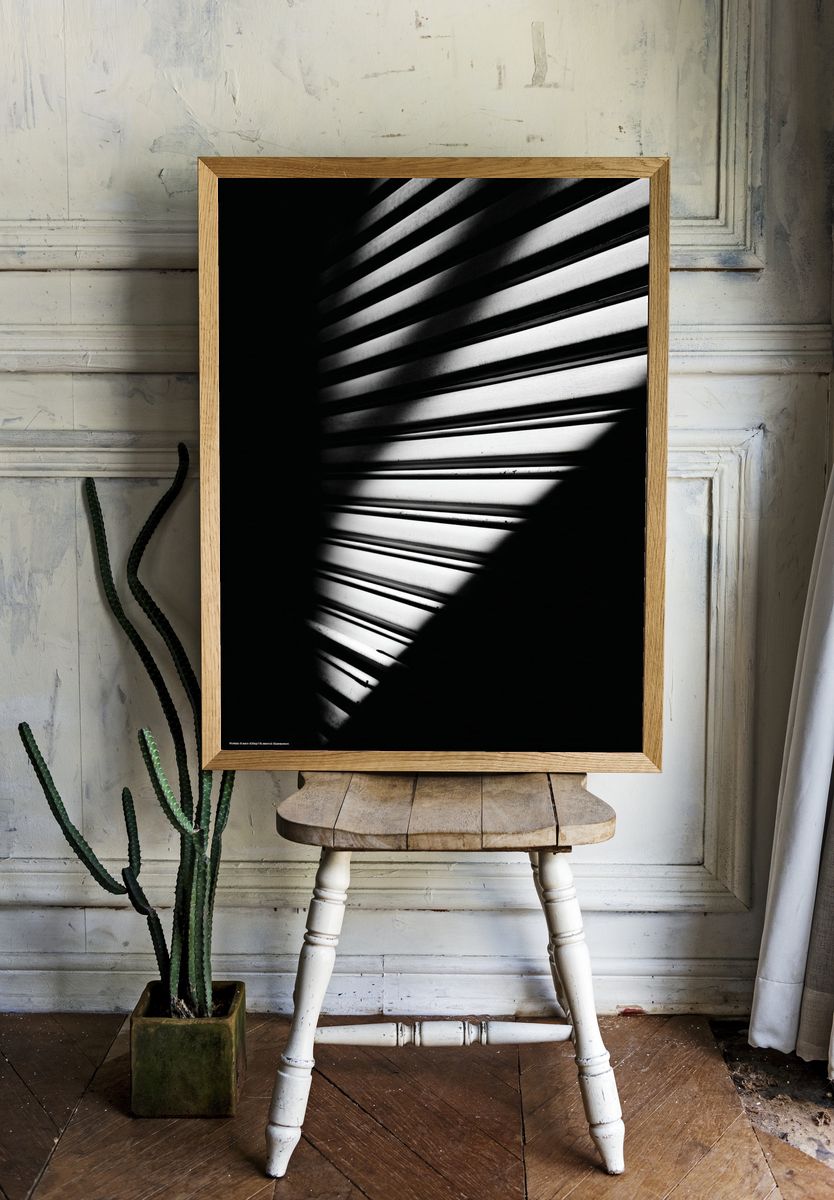 Shadows and Light — Black-White Photography Poster. — room view 1