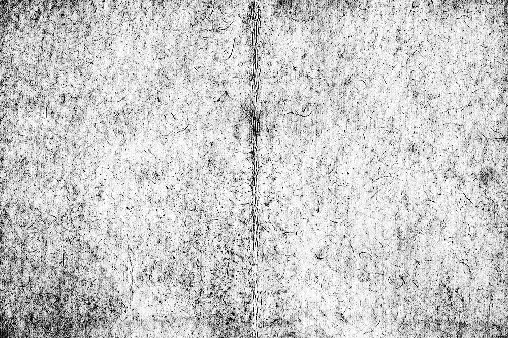 Textured Black and White Abstract Poster. poster detail