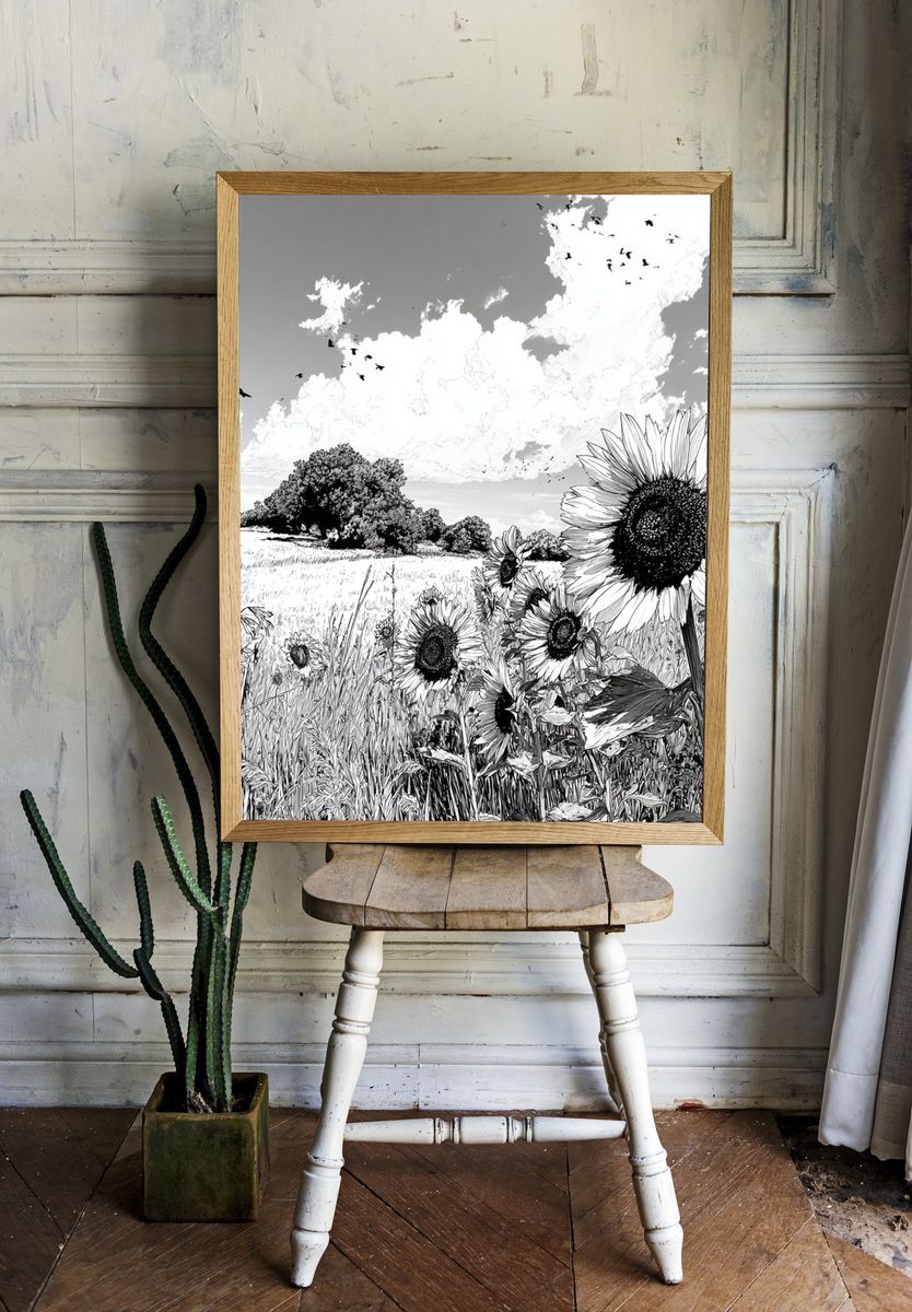 Sunflower Field — Black and White Print. room preview