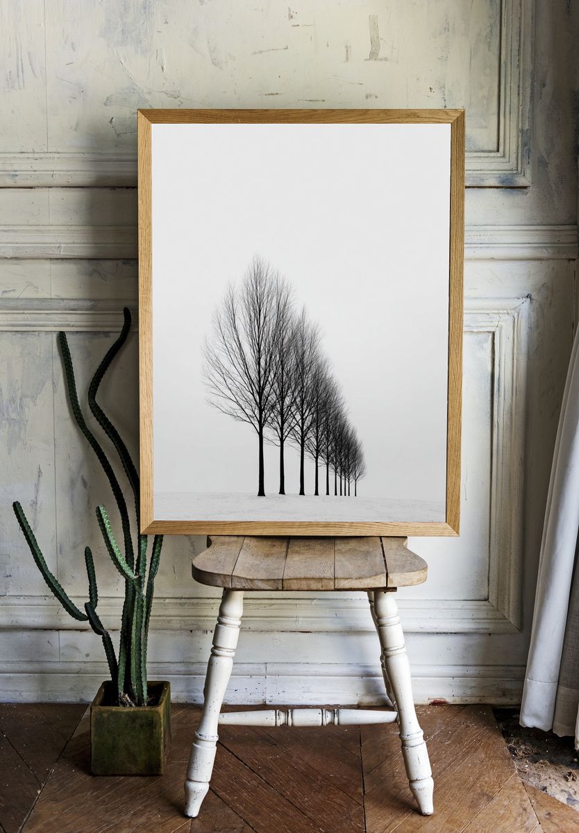 Bare Trees in Winter — Black-White Print. — room view 1
