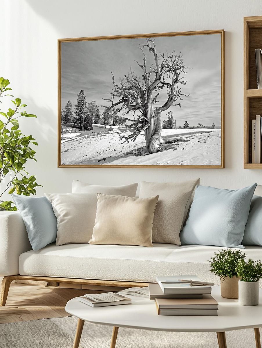 Barren Tree in Snow — Black-White Print. — room view 2
