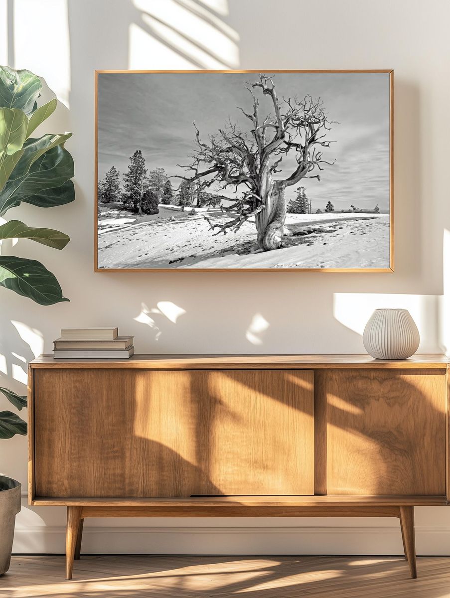 Barren Tree in Snow — Black-White Print. — room view 3