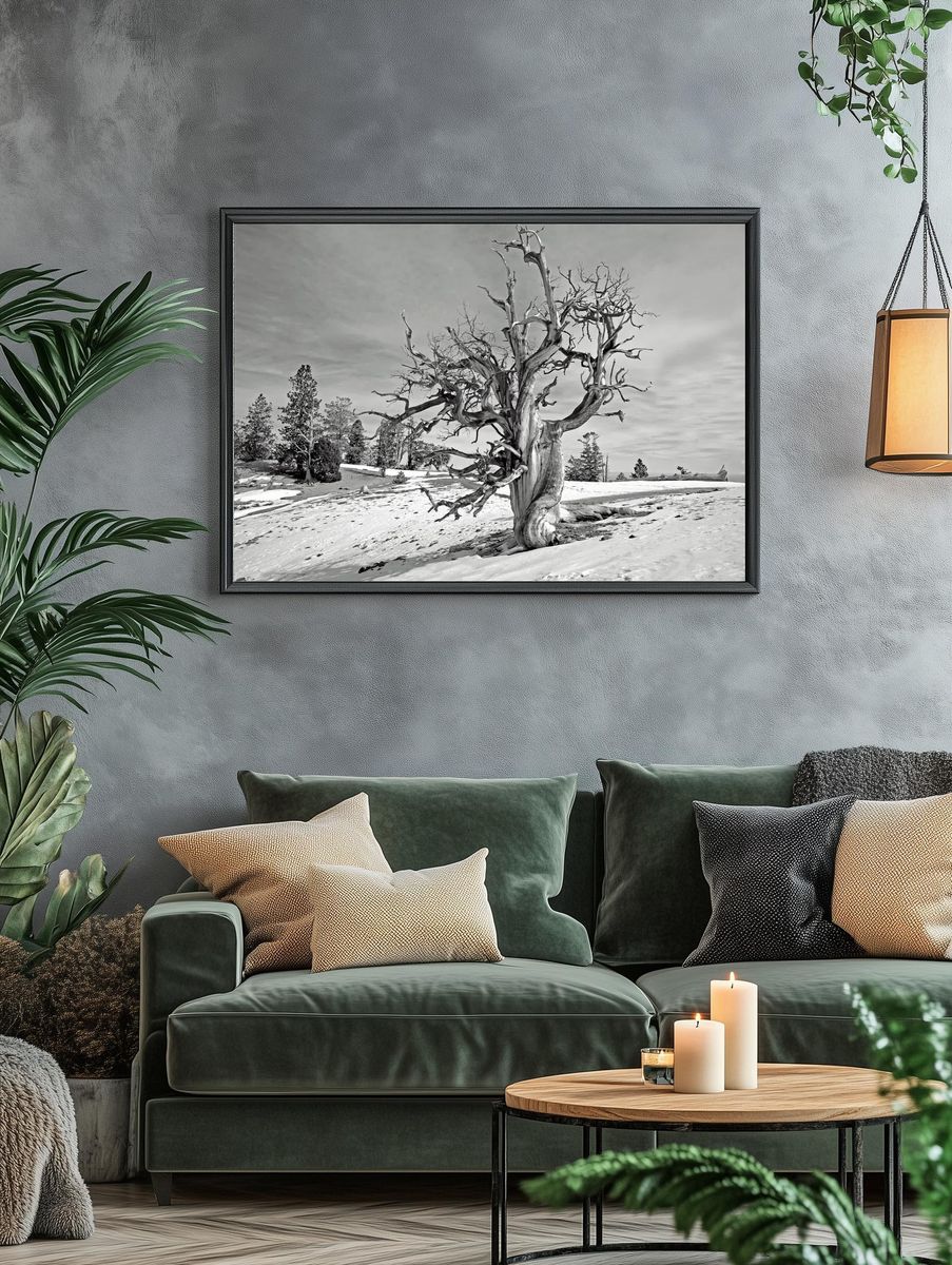 Barren Tree in Snow — Black-White Print. — room view 4