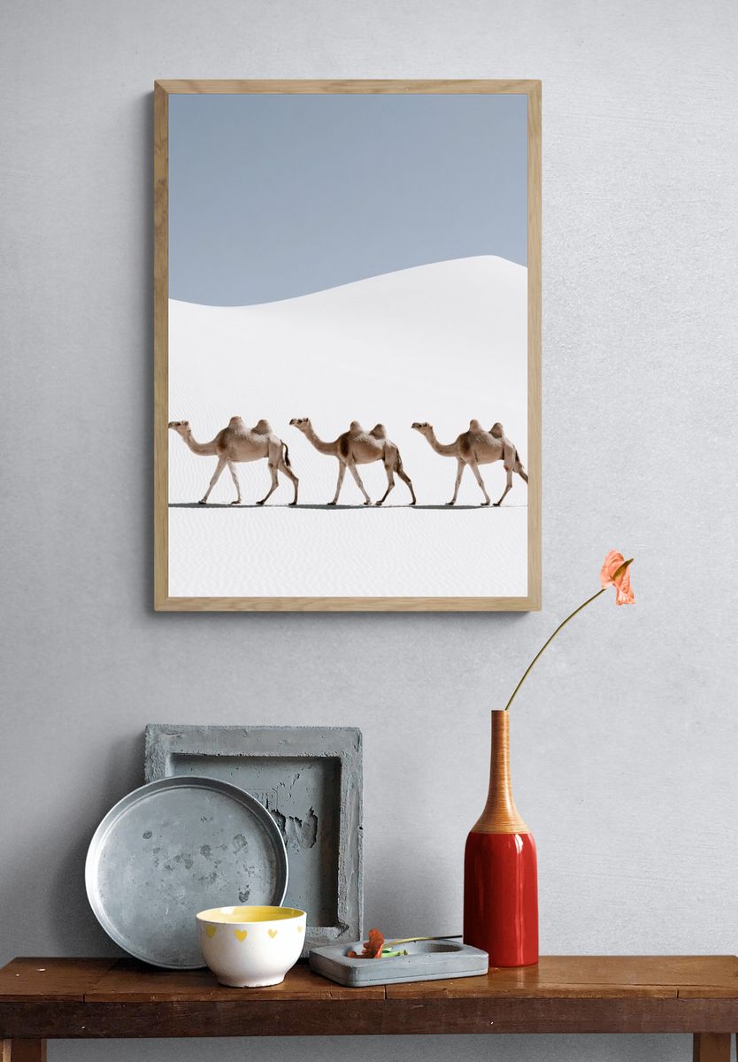 Desert Camels Photography Poster. — room view 3