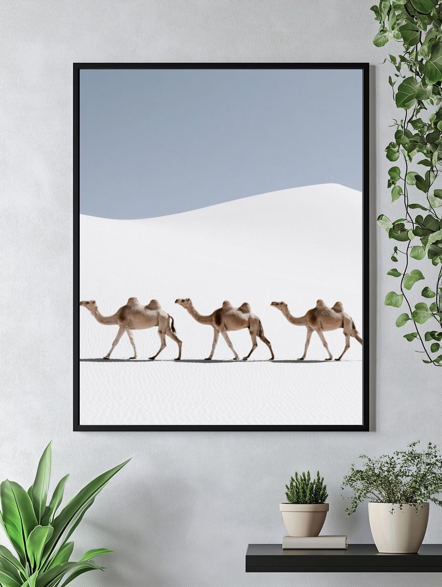 Desert Camels Photography Poster. — room view 4