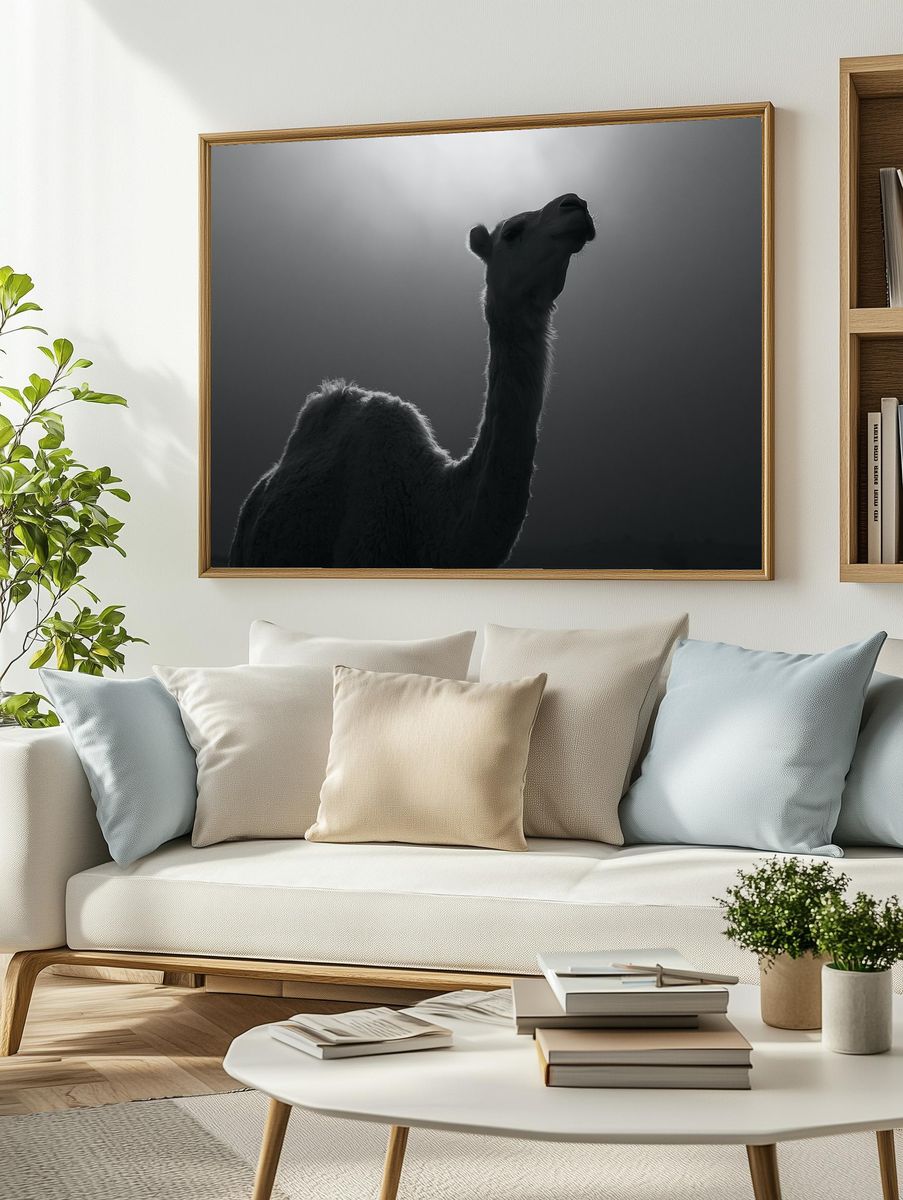 Camel Silhouette Photography Poster. — room view 2