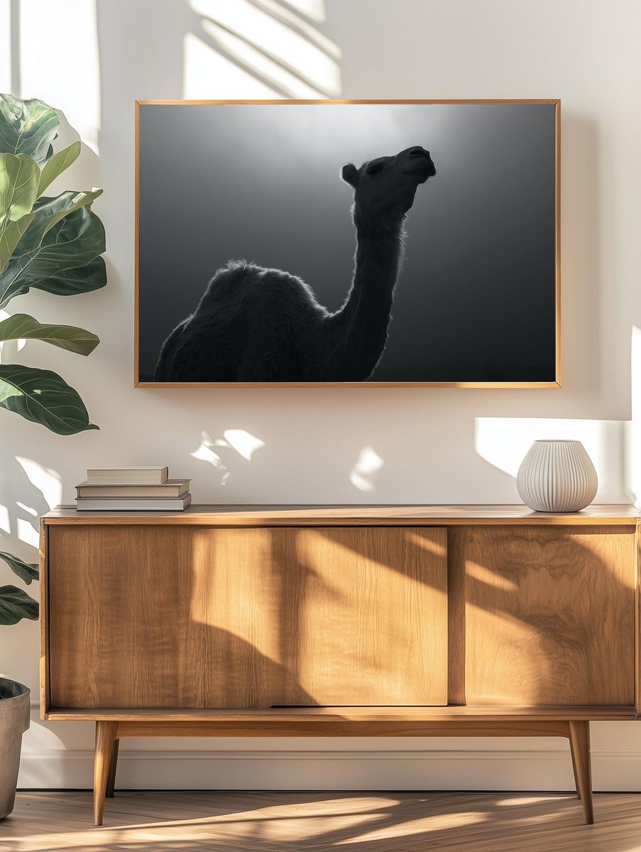 Camel Silhouette Photography Poster. — room view 3