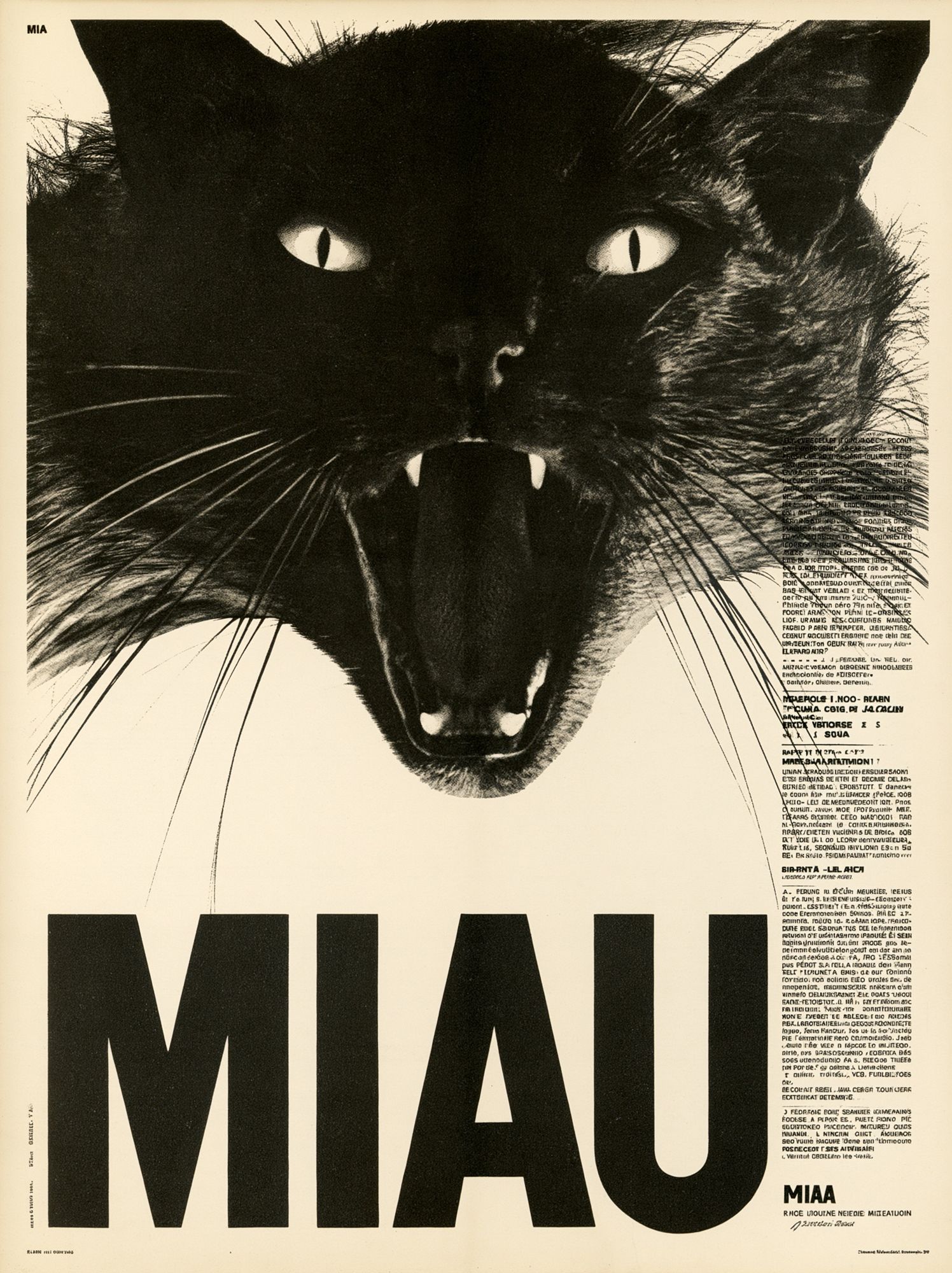 Black Cat Miau Typography Poster. poster detail