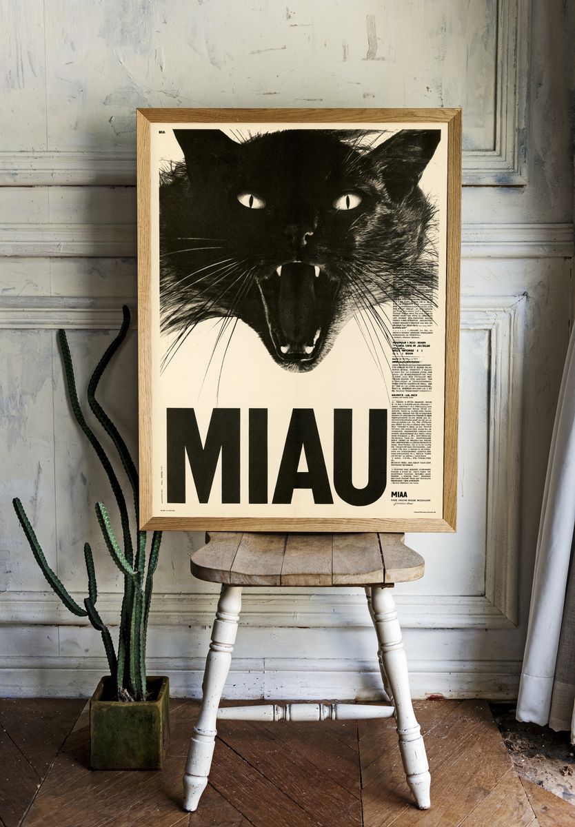 Black Cat Miau Typography Poster. — room view 1