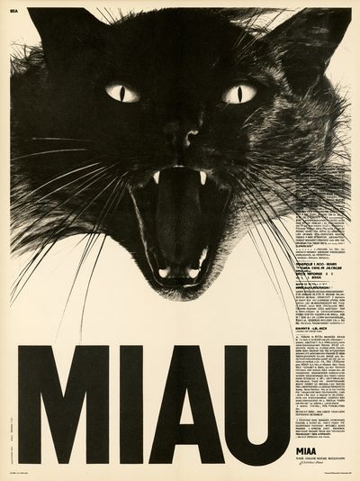 Black Cat Miau Typography Poster.