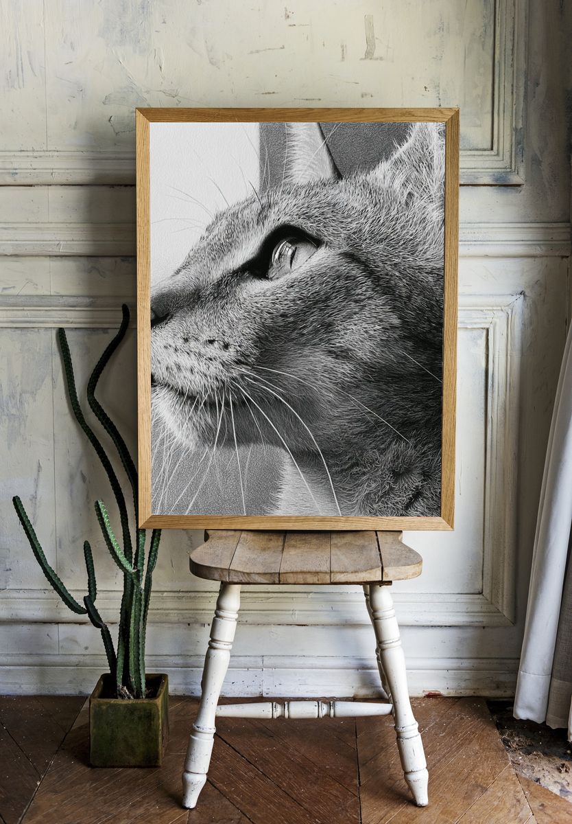 Cat Portrait Black-White Print. — room view 1