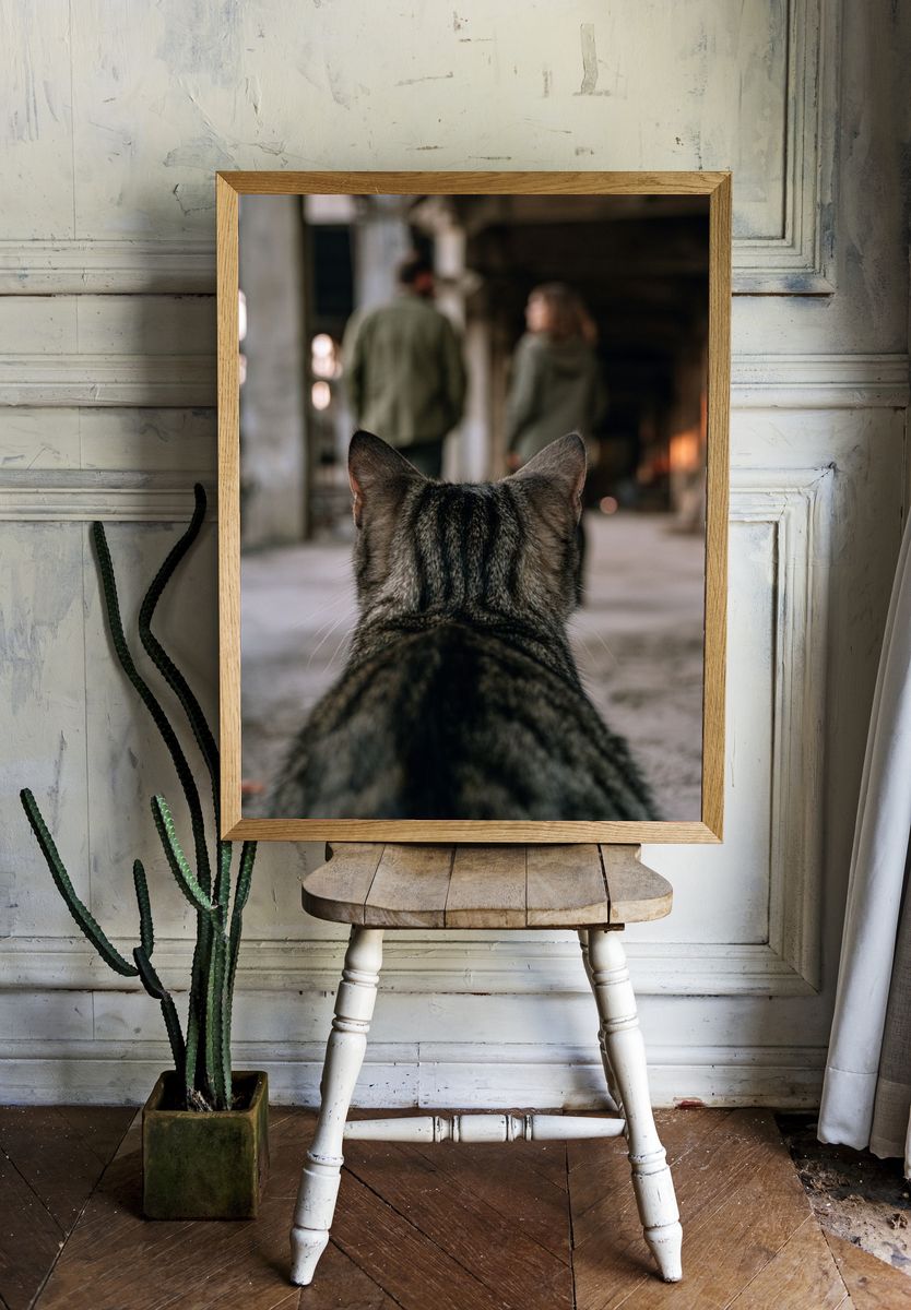 Cat in Industrial Hallway Photography Poster. — room view 1