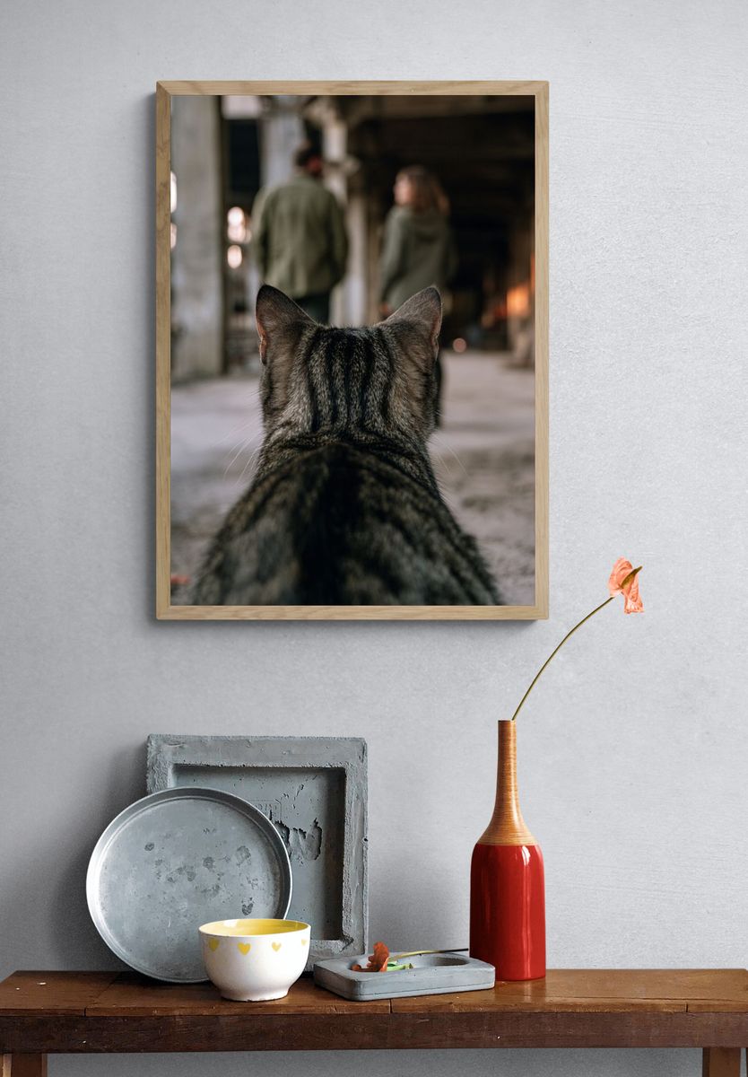 Cat in Industrial Hallway Photography Poster. — room view 3