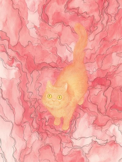 Pink Cat Dreamscape Illustration Poster. poster